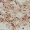 Terra Red 005